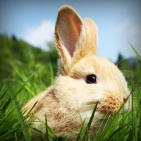 /album/juan-deavila/photolia-a03-jpg/