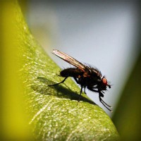 /album/juan-deavila/photolia-a04-jpg/