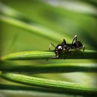 /album/juan-deavila/photolia-a05-jpg/