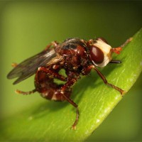 /album/juan-deavila/photolia-a06-jpg/