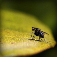 /album/juan-deavila/photolia-a07-jpg/