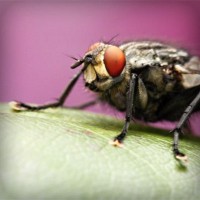 /album/juan-deavila/photolia-a08-jpg/